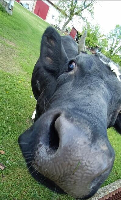 Wycieczki jednodniowe dla dzieci, przedszkoli, szkół