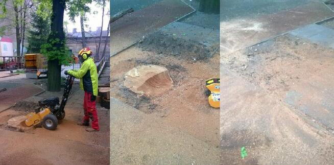 Wycinka Drzew, utylizacja zielonej masy, podnośnik koszowy