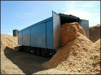 Wycinka Drzew, utylizacja zielonej masy, podnośnik koszowy