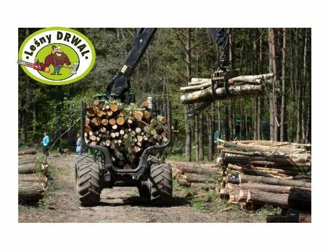 Wycinka Drzew, utylizacja zielonej masy, podnośnik koszowy