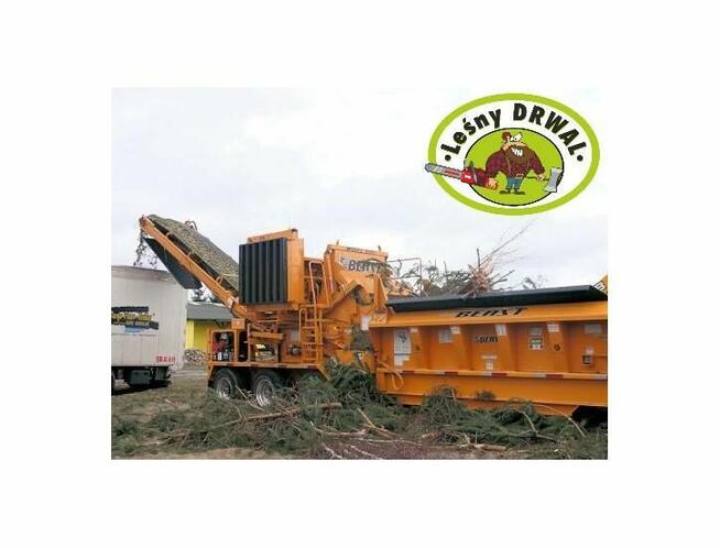 Wycinka Drzew, utylizacja zielonej masy, podnośnik koszowy