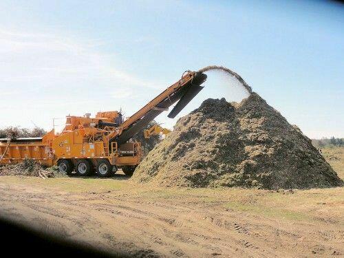 Wycinka Drzew, utylizacja zielonej masy, podnośnik koszowy