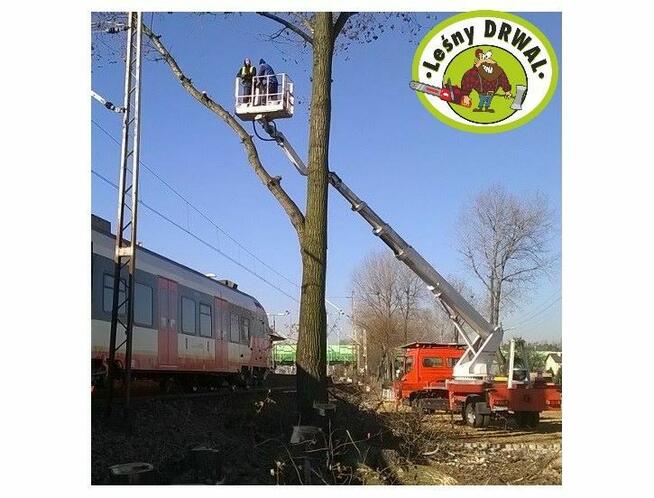 Wycinka Drzew, utylizacja zielonej masy, podnośnik koszowy