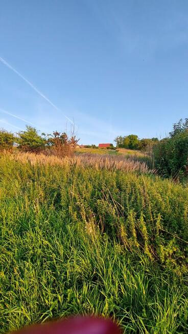 Sprzedam działkę w ŁAZANACH