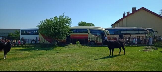 Wycieczki jednodniowe dla dzieci, przedszkoli, szkół
