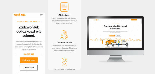 Tworzenie stron internetowych WWW i logo, Strona internetowa