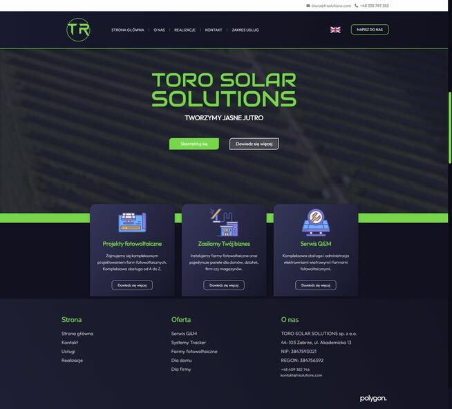 Tworzenie stron internetowych WWW i logo, Strona internetowa