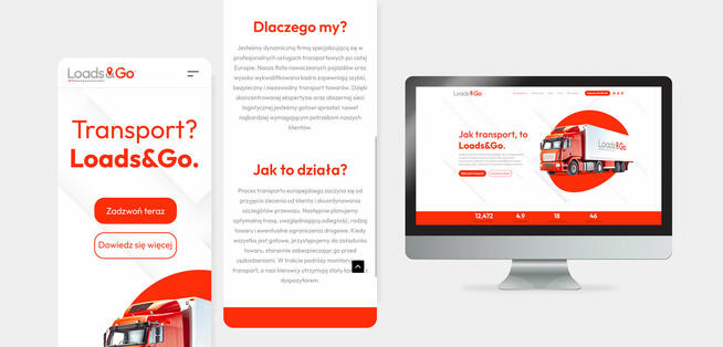 Tworzenie stron internetowych WWW i logo, Strona internetowa
