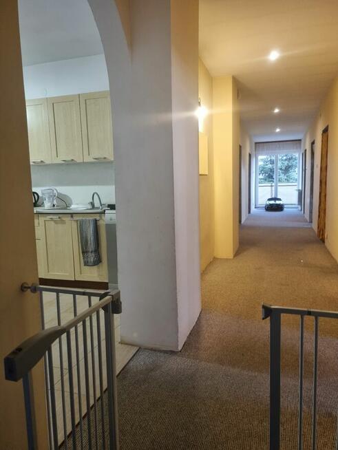 Dom/dwa oddzielne mieszkania, pensjonat lub agroturystyka.