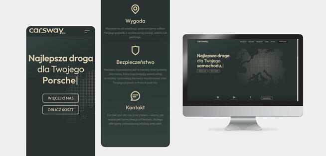 Tworzenie stron internetowych WWW i logo, Strona internetowa