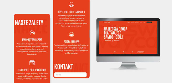 Tworzenie stron internetowych WWW i logo, Strona internetowa