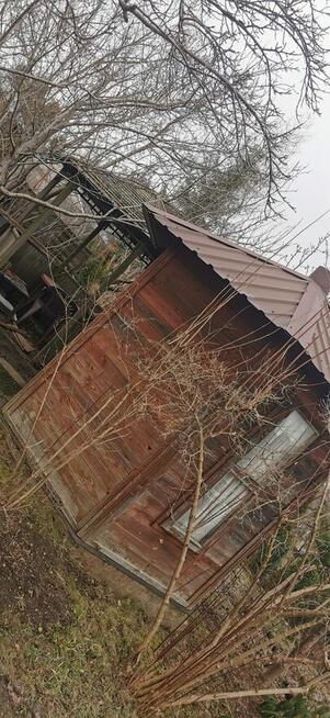 Działka Ogrodowa Zastawie ROD M. Konopnickiej