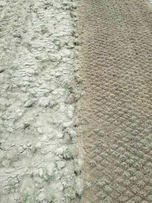 Usługi glebogryzarką separacyjną nawadnianie trawniki