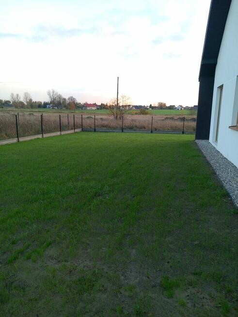 Usługi siewnikiem mechanicznym, siew mechaniczny trawnika