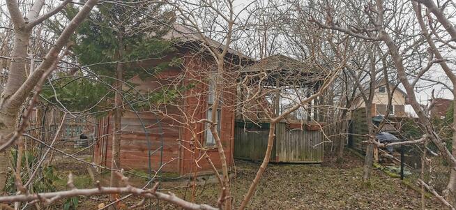 Działka Ogrodowa Zastawie ROD M. Konopnickiej
