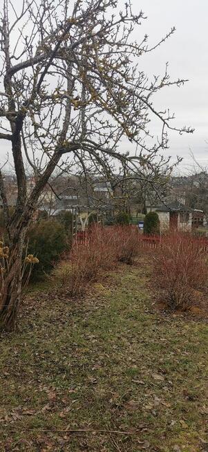 Działka Ogrodowa Zastawie ROD M. Konopnickiej