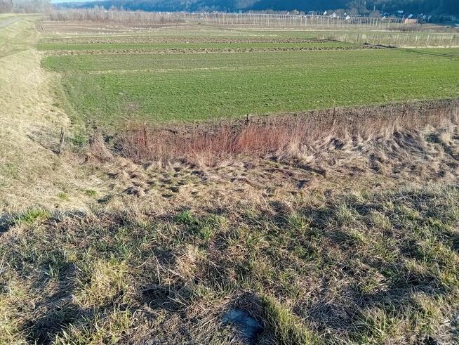 Działka 7 arów - okolice Kazimierza Parchatka