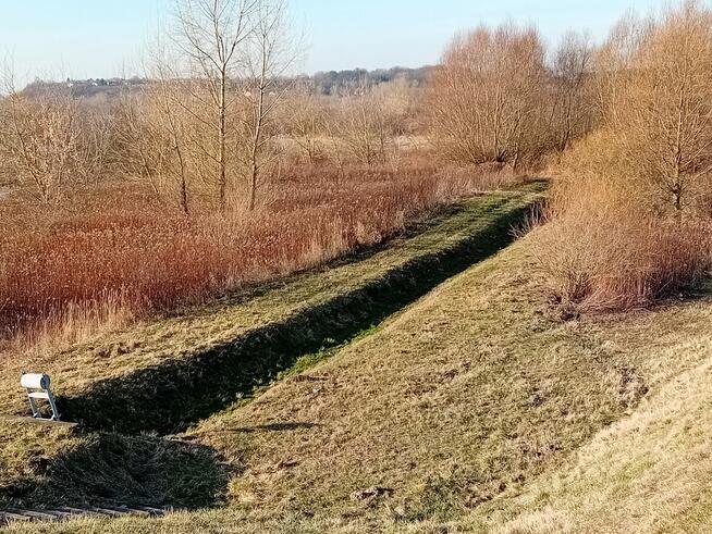 Działka 7 arów - okolice Kazimierza Parchatka