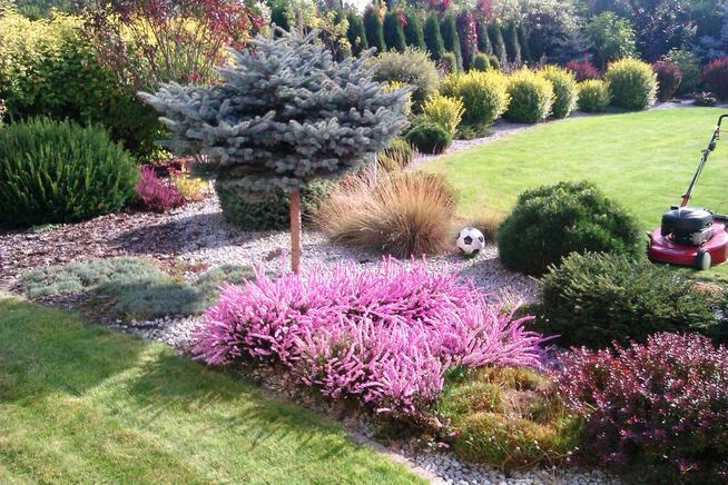 Firma Ogrodnicza Mazurek