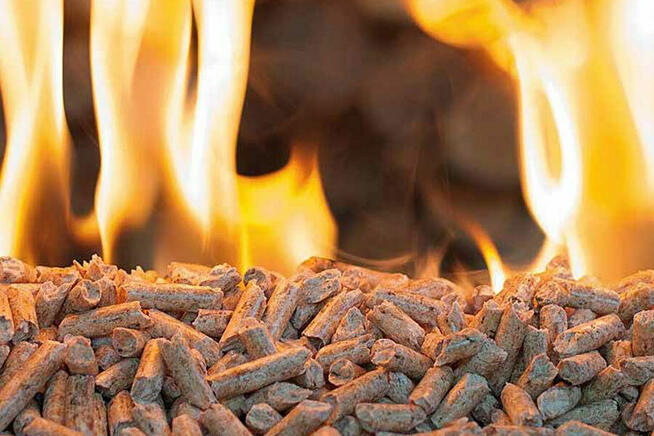 Pellet BESKIDY paleta, klasa A1, 6mm