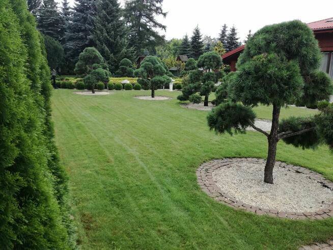 Firma Ogrodnicza Mazurek