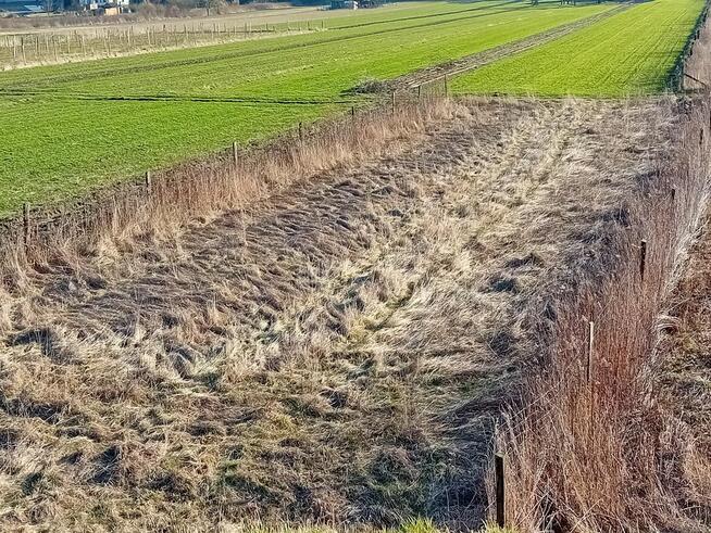 Działka 7 arów - okolice Kazimierza Parchatka