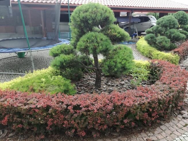 Firma Ogrodnicza Mazurek