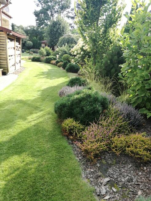 Firma Ogrodnicza Mazurek