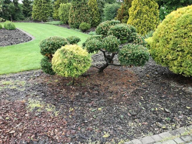 Firma Ogrodnicza Mazurek