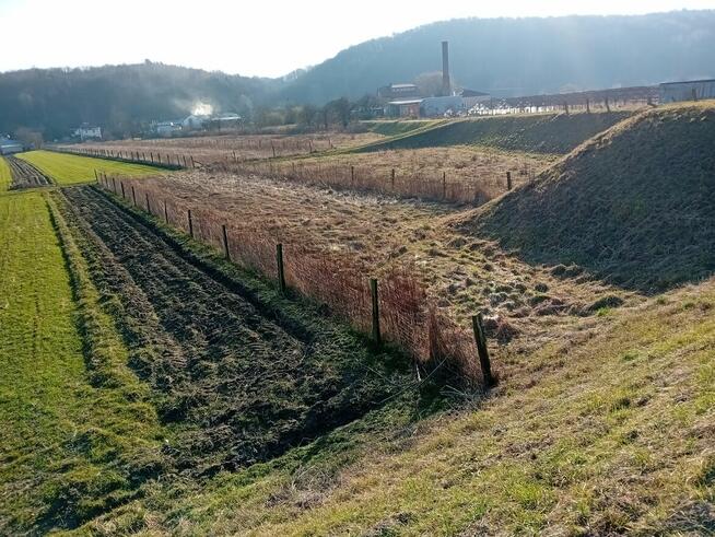 Działka 7 arów - okolice Kazimierza Parchatka