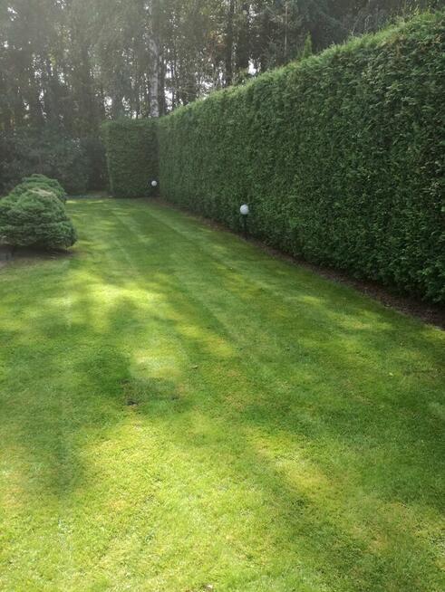 Firma Ogrodnicza Mazurek