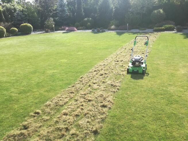 Firma Ogrodnicza Mazurek