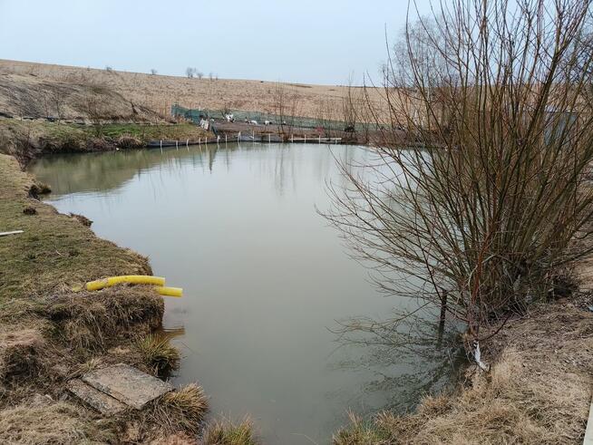 Działka budowlana 2400m2 + dwa domy i staw