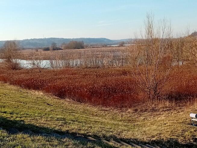 Działka 7 arów - okolice Kazimierza Parchatka