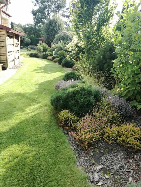 Firma Ogrodnicza Mazurek