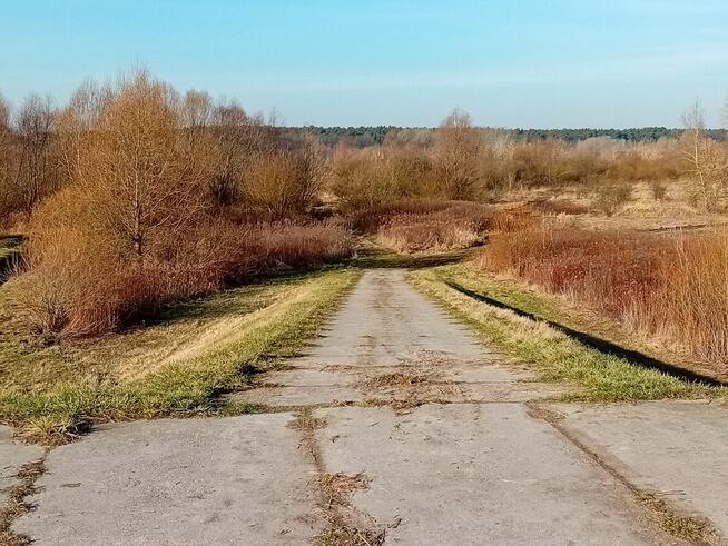 Działka 7 arów - okolice Kazimierza Parchatka