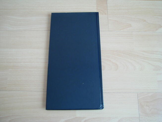 Kryzys, wspomnienia współczesne – Satyrykon, zeszyt drugi