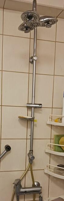 Głowica prysznicowa kształt płatka wysyłka gratis !!!