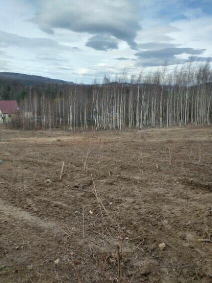 duża działka Piława Górna Kośmin