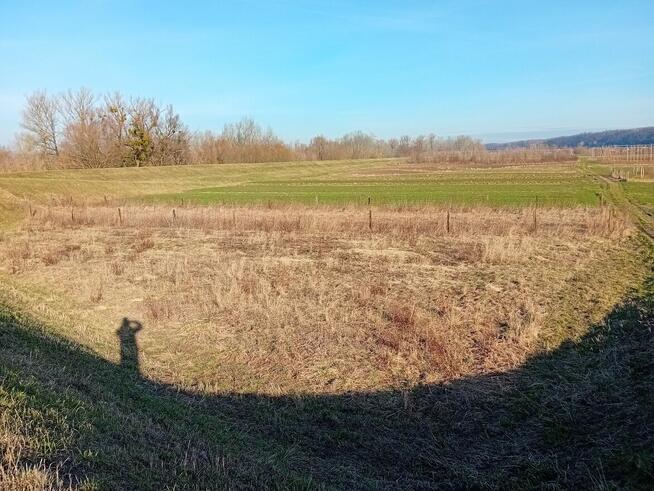 Działka 7 arów - okolice Kazimierza Parchatka