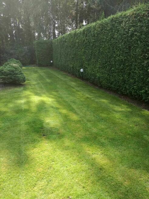 Firma Ogrodnicza Mazurek