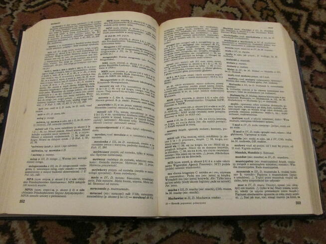 Słownik poprawnej polszczyzny