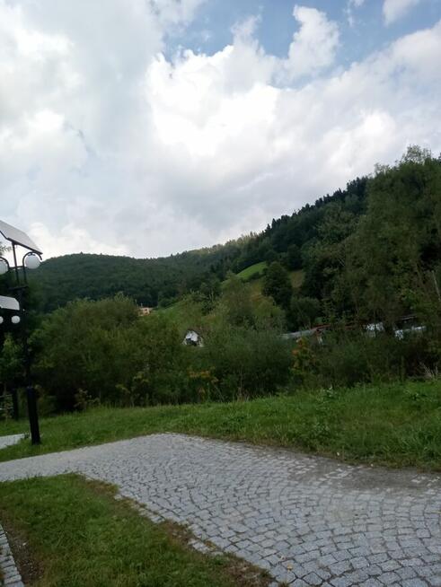 Domek ogrodowy ,altana