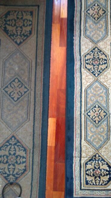 Karcher Rydzyna 661373424 pranie dywanów wykładzin tapicerki