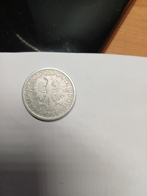 Sprzedam monetę
