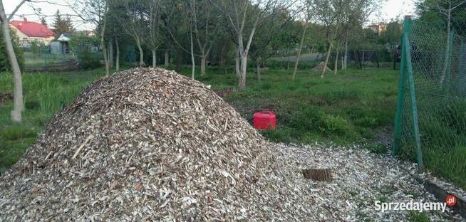 Wycinka drzew / Malowanie dachów / Żywopłoty / Mycie kostki