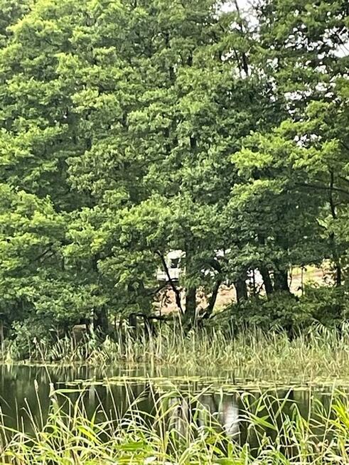 Działka nad jeziorem Mała Kalwa w Pasymiu z przyczepą