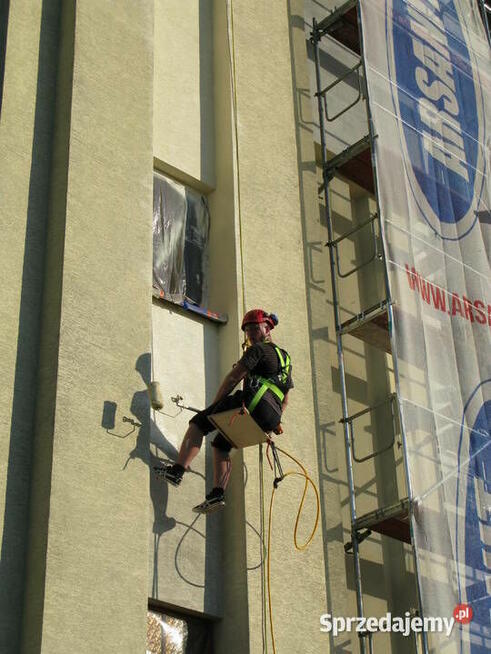 Wycinka drzew / Malowanie dachów / Żywopłoty / Mycie kostki