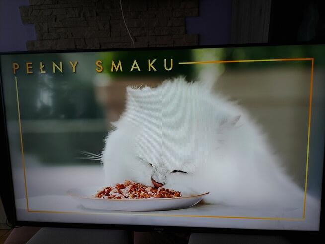 Tv sony KDL 55 W 829 B smart 3d piękny obraz made in Japan