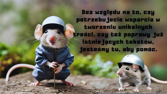 Korekty językowe tekstów - dla studentów i pisarzy